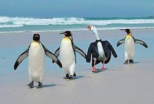 web1_9.16-CBN-viv-column-2c-c